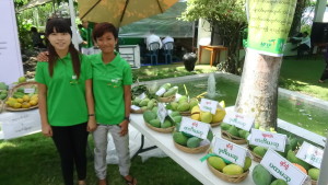 Mango Festival greeters